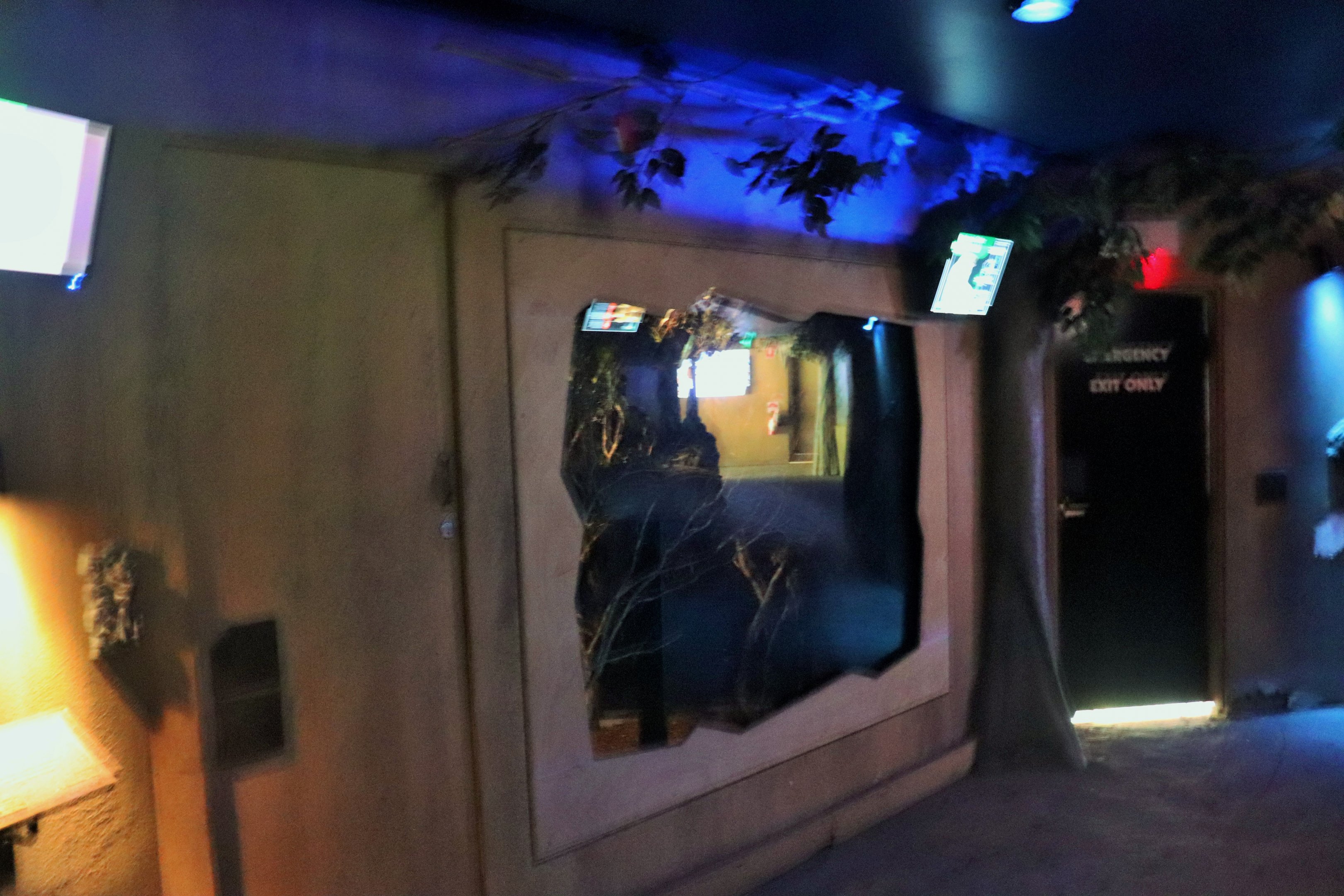 Feathertail Glider Enclosure