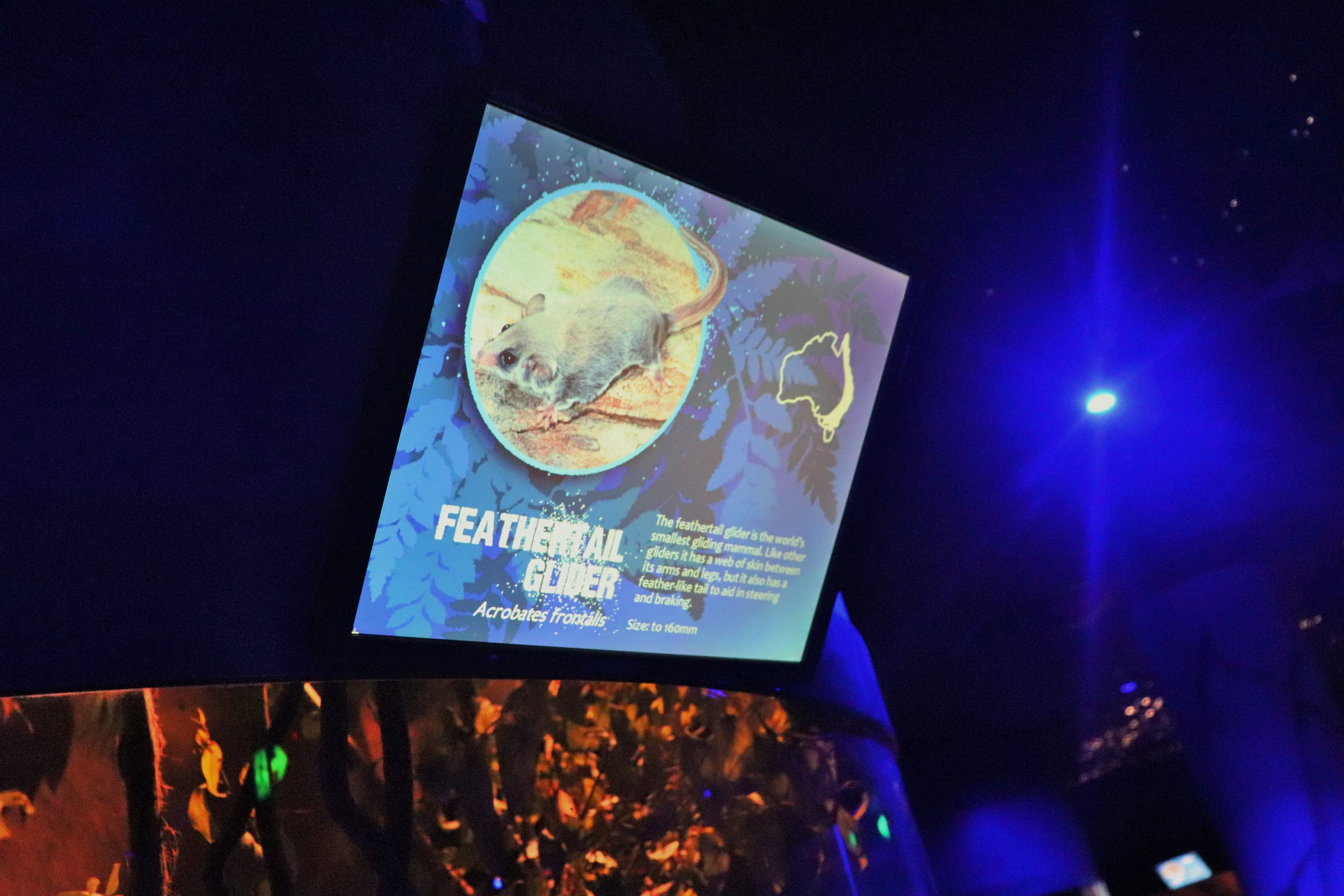 Feathertail Glider Sign