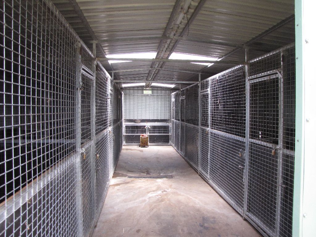 Feb 2009 - Lion House