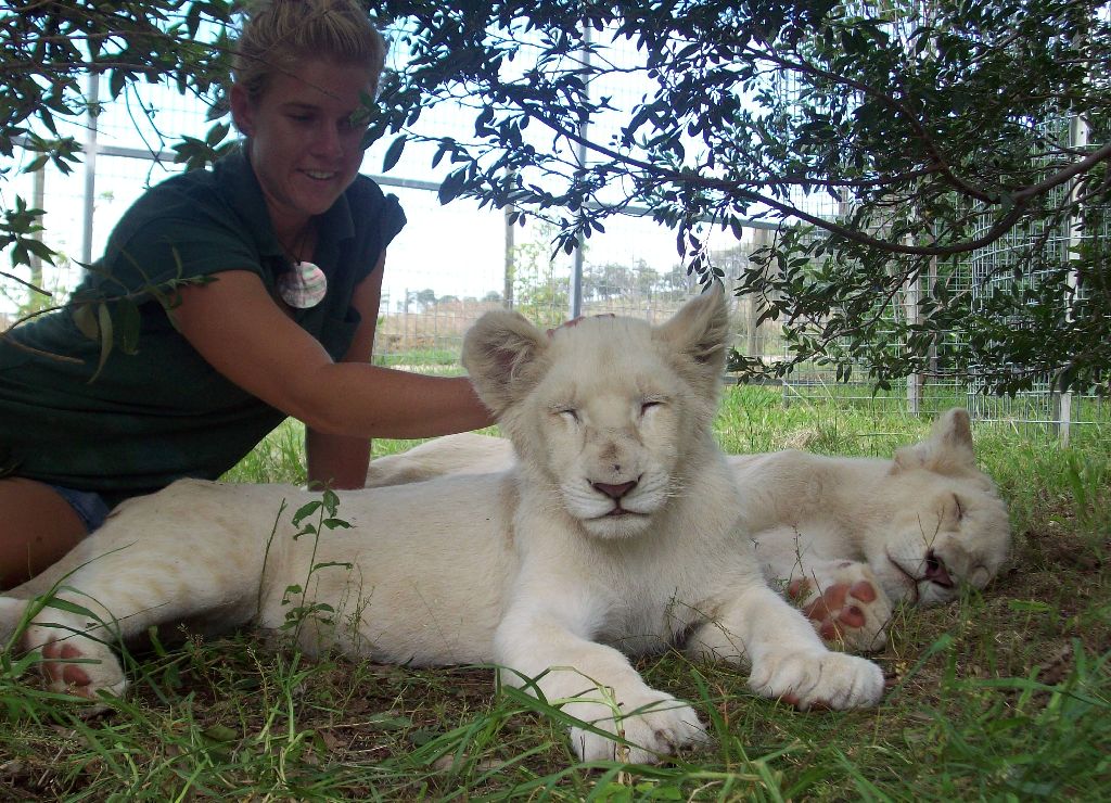 Feb 2010 - White Lion cubs