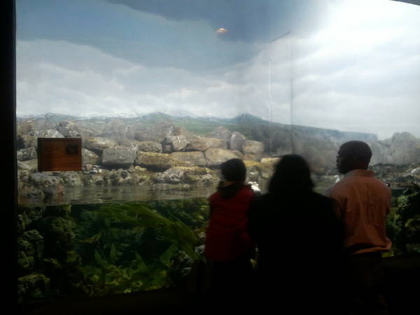 Feb. 2012-Arctic Islands