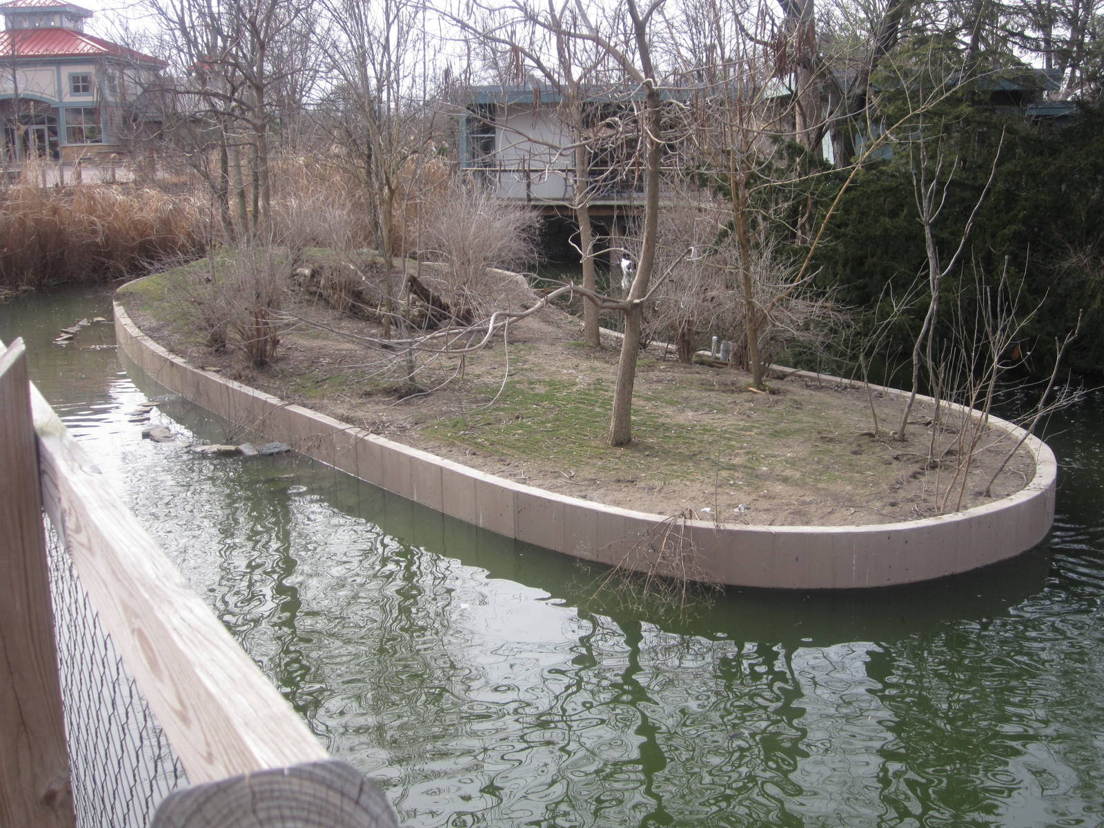 Feb. 2012-Crane Island