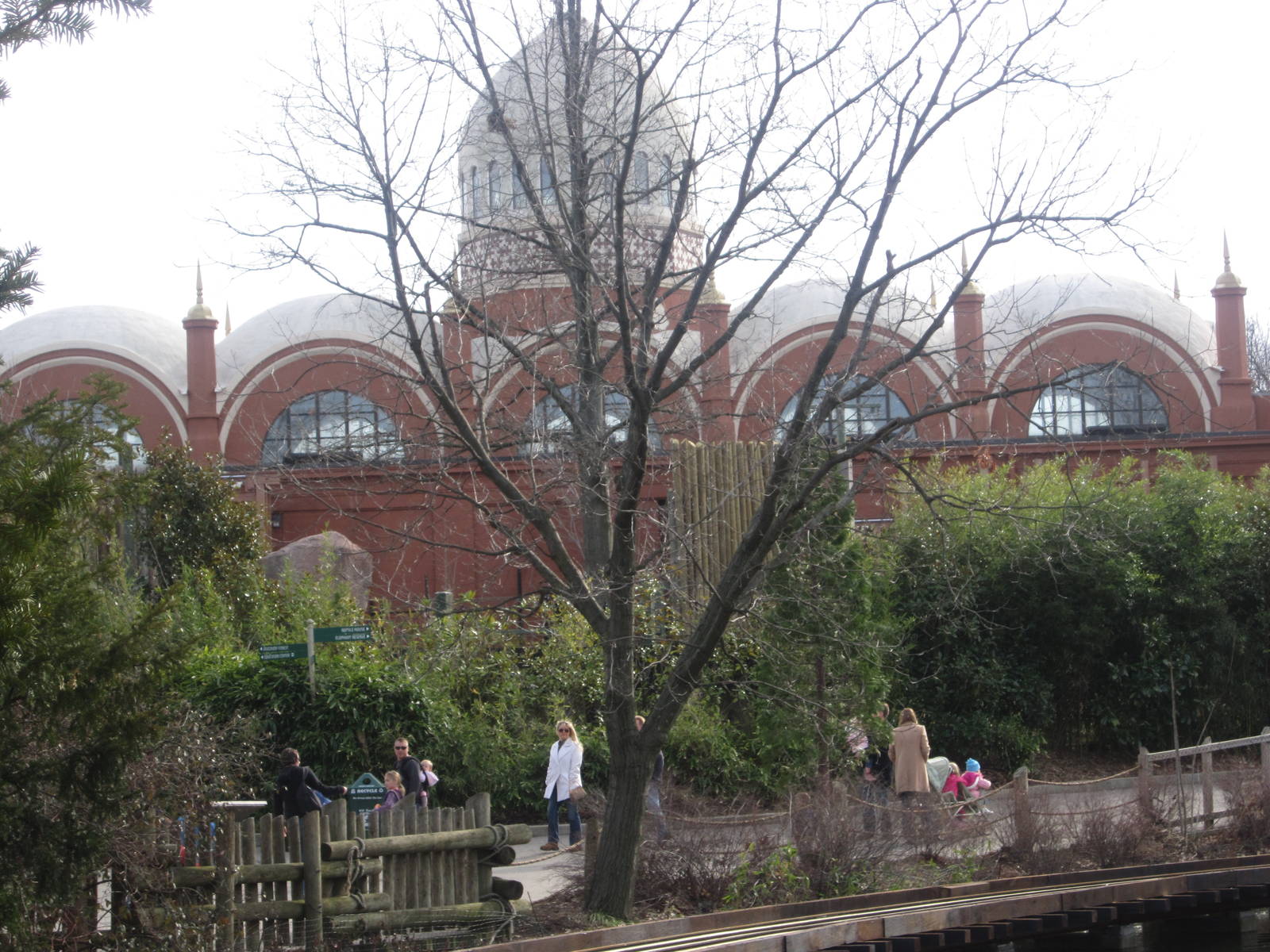 Feb. 2012-Elephant House