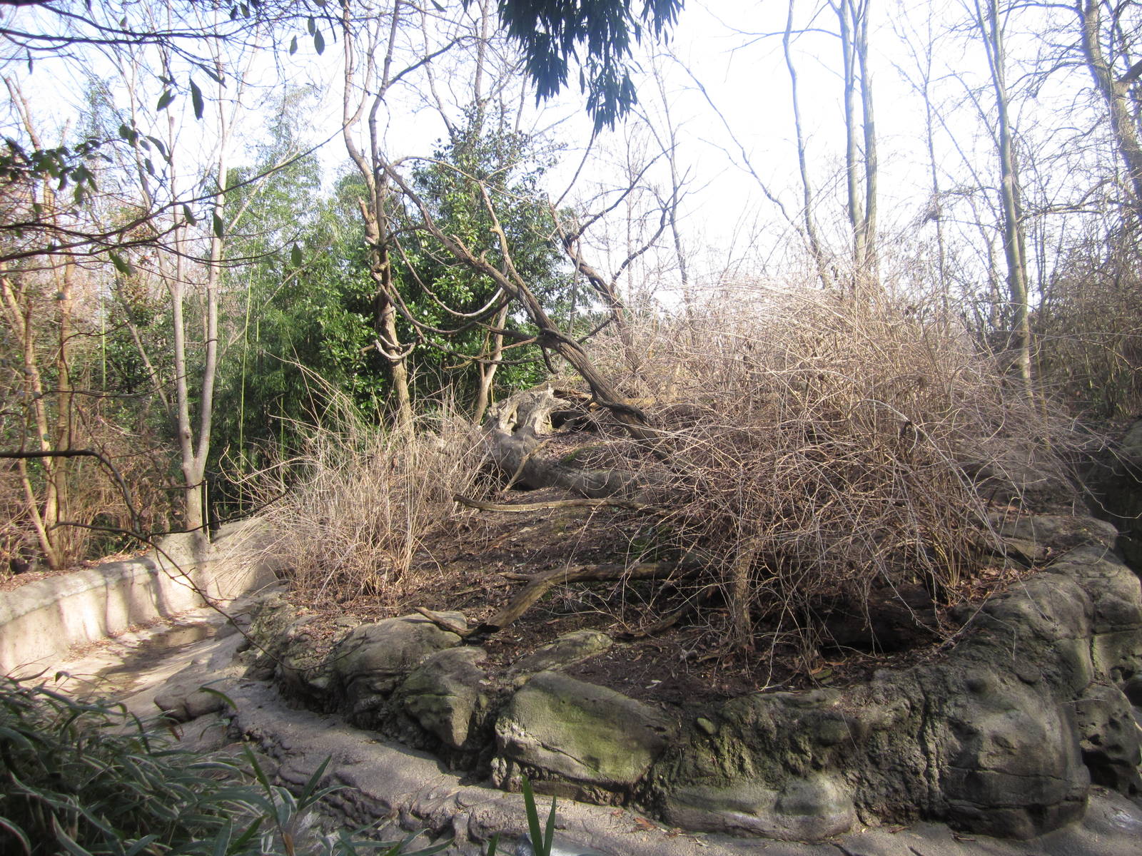 Feb. 2012-Mueller's Gibbon exhibit