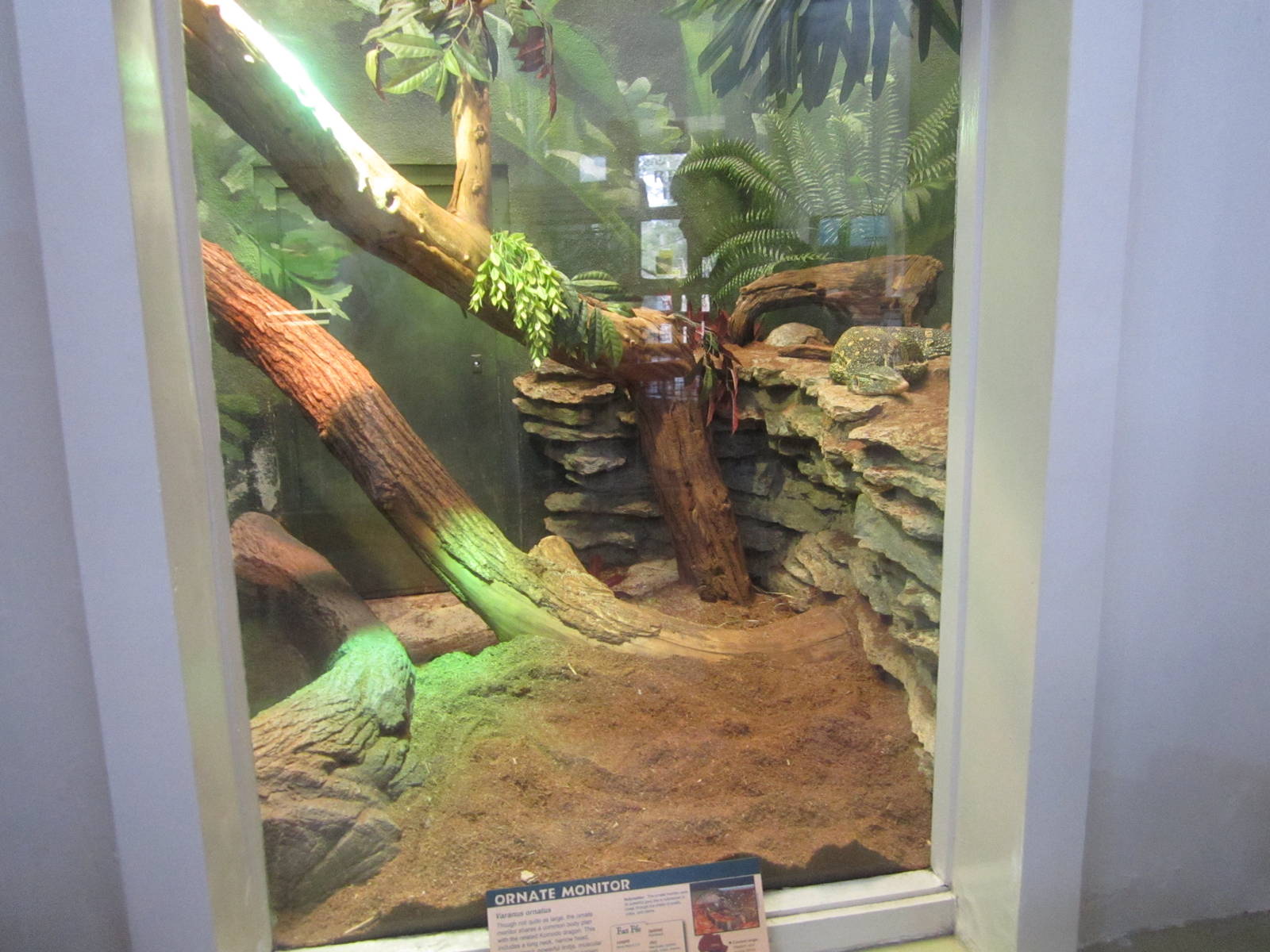 Feb. 2012-Ornate Monitor exhibit