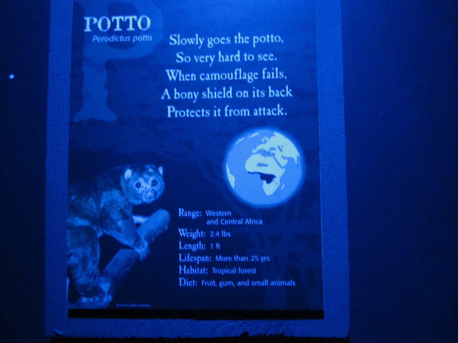 Feb. 2012-Potto Sign at Night Hunters