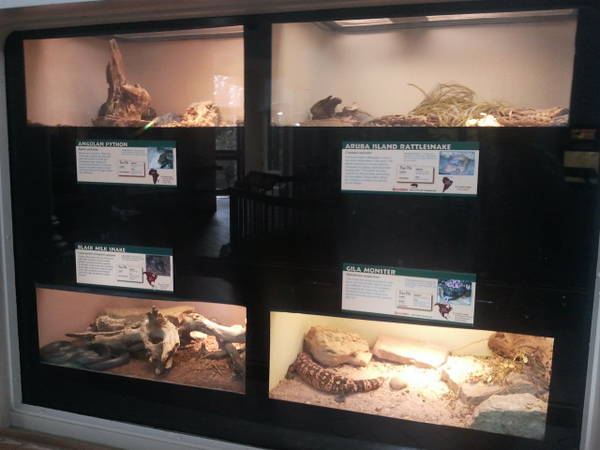 Feb. 2012-Reptile House exhibits