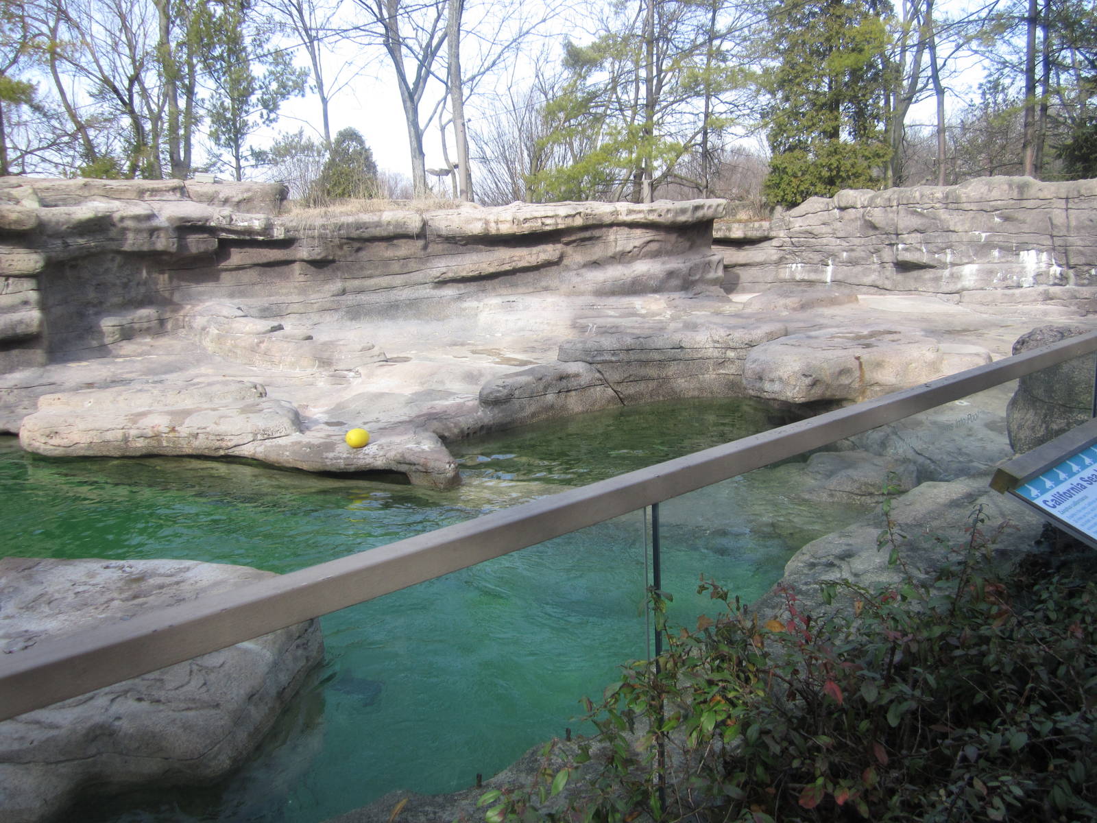 Feb. 2012-Sea Lion Exhibit Land Area