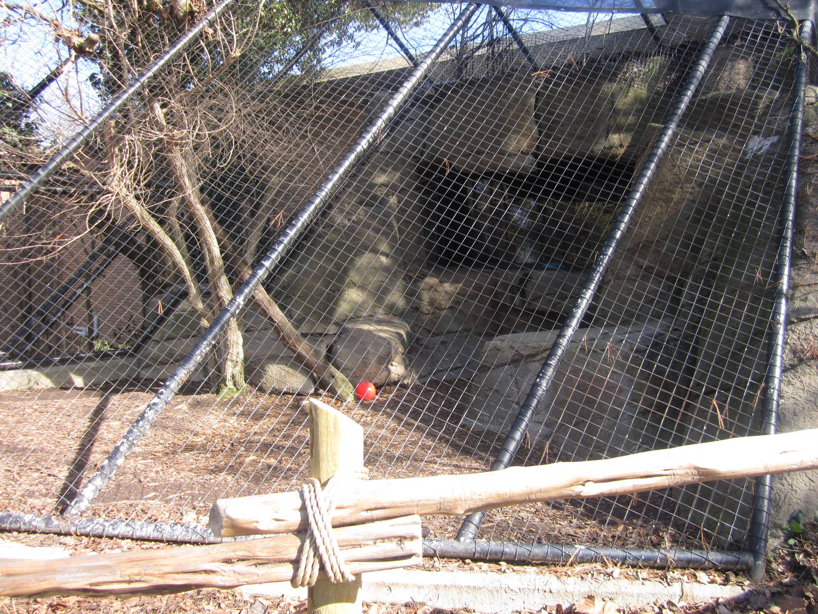 Feb. 2012-Siberian Lynx exhibit