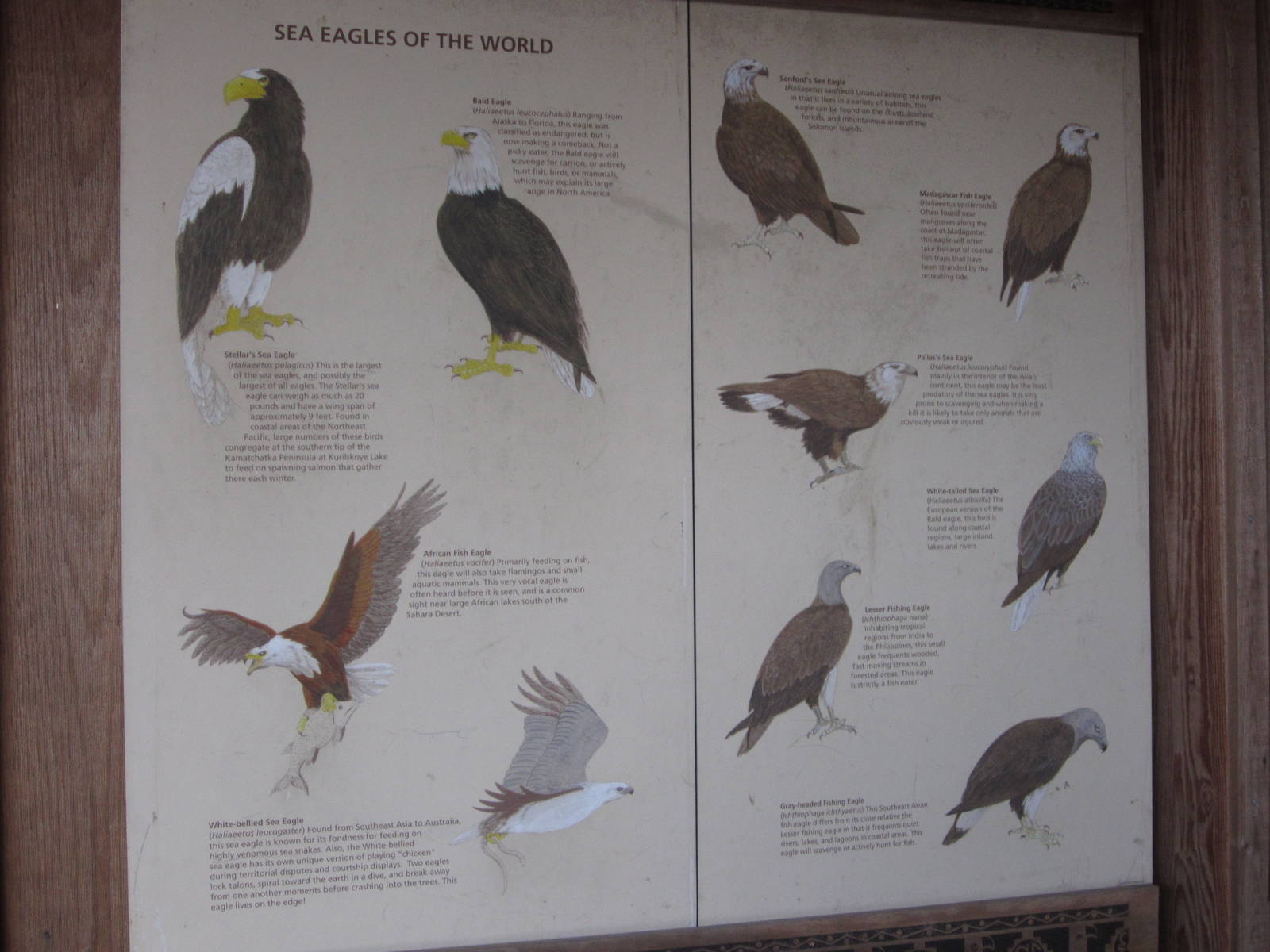 Feb. 2012-Sign at Eagle Eyrie