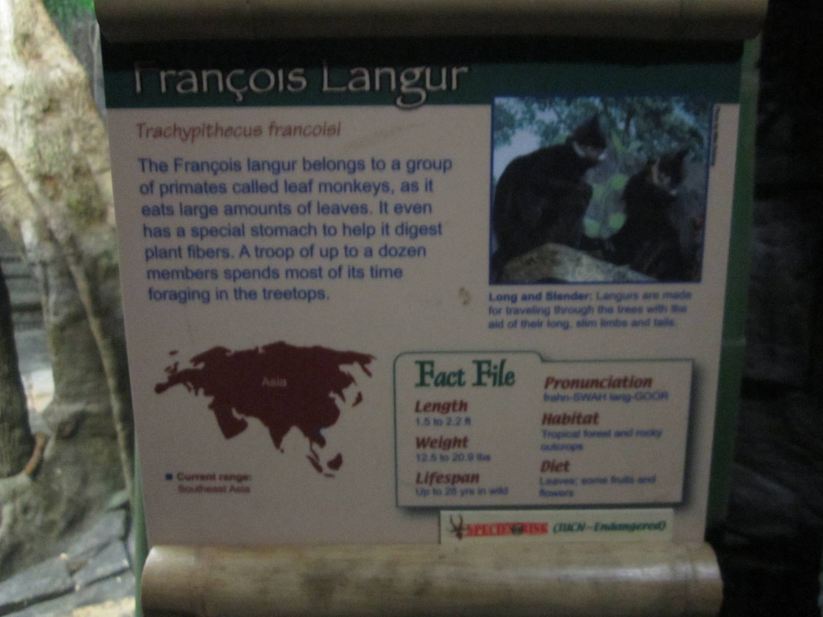 Feb. 2012-Sign at Jungle Trails