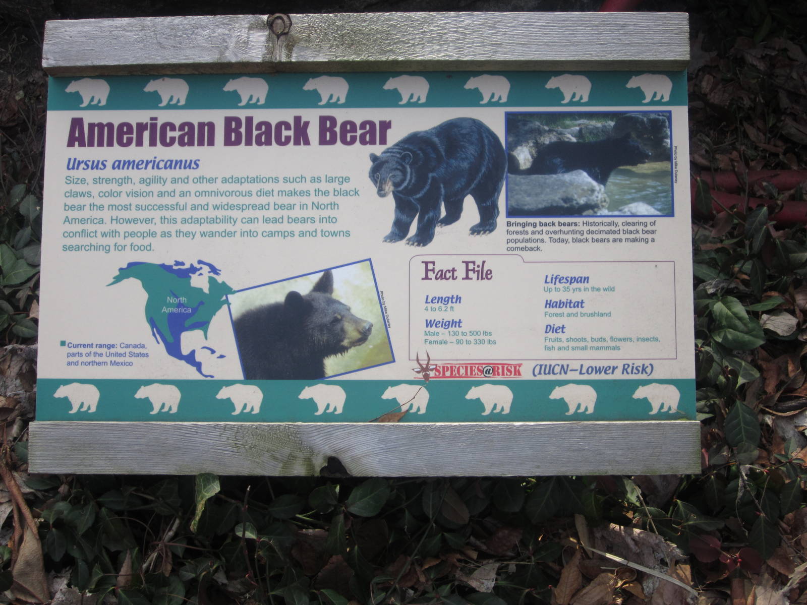 Feb. 2012-Sign at the Bear Line