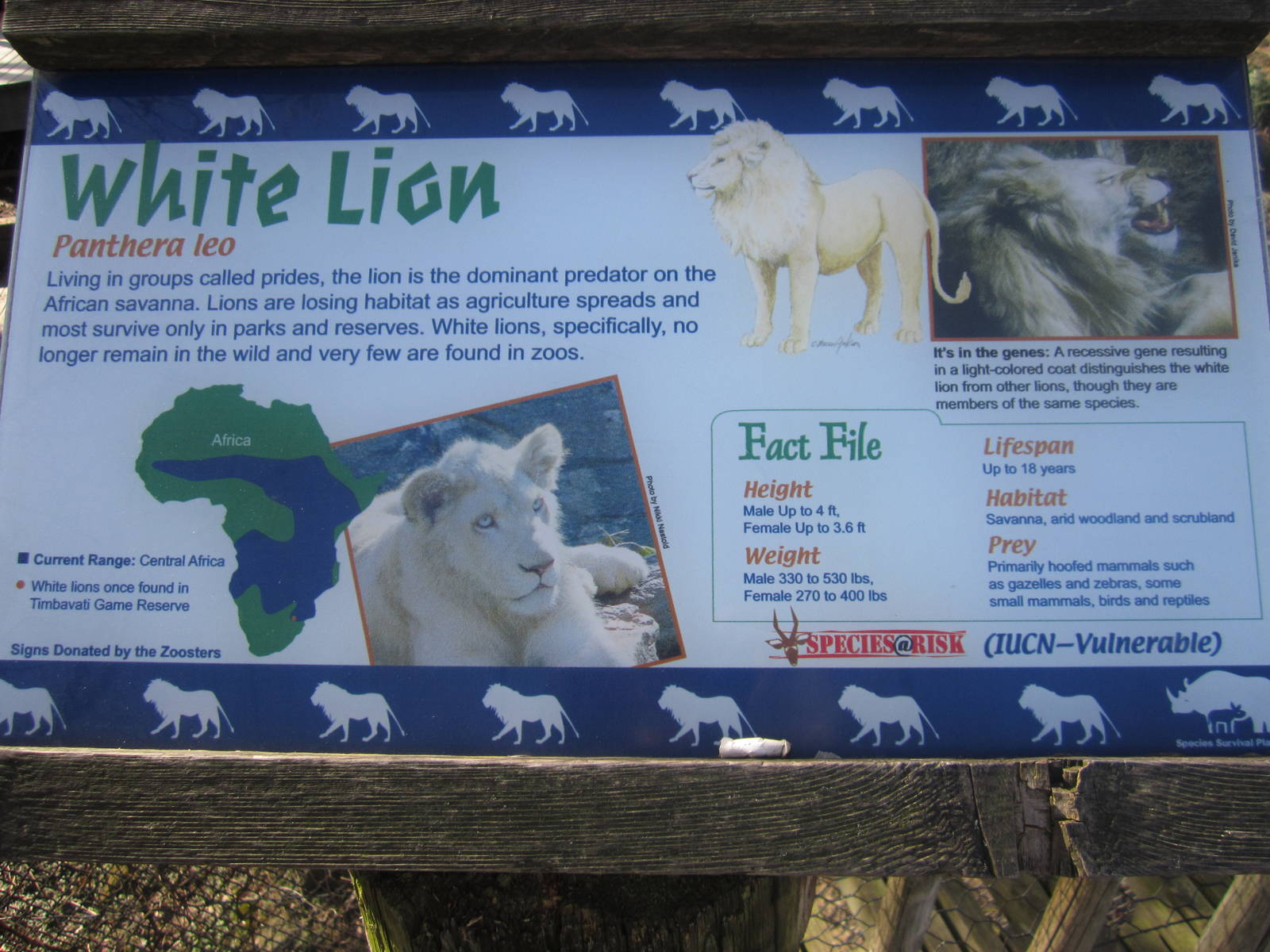 Feb. 2012-Sign at White Lions of Timbavati