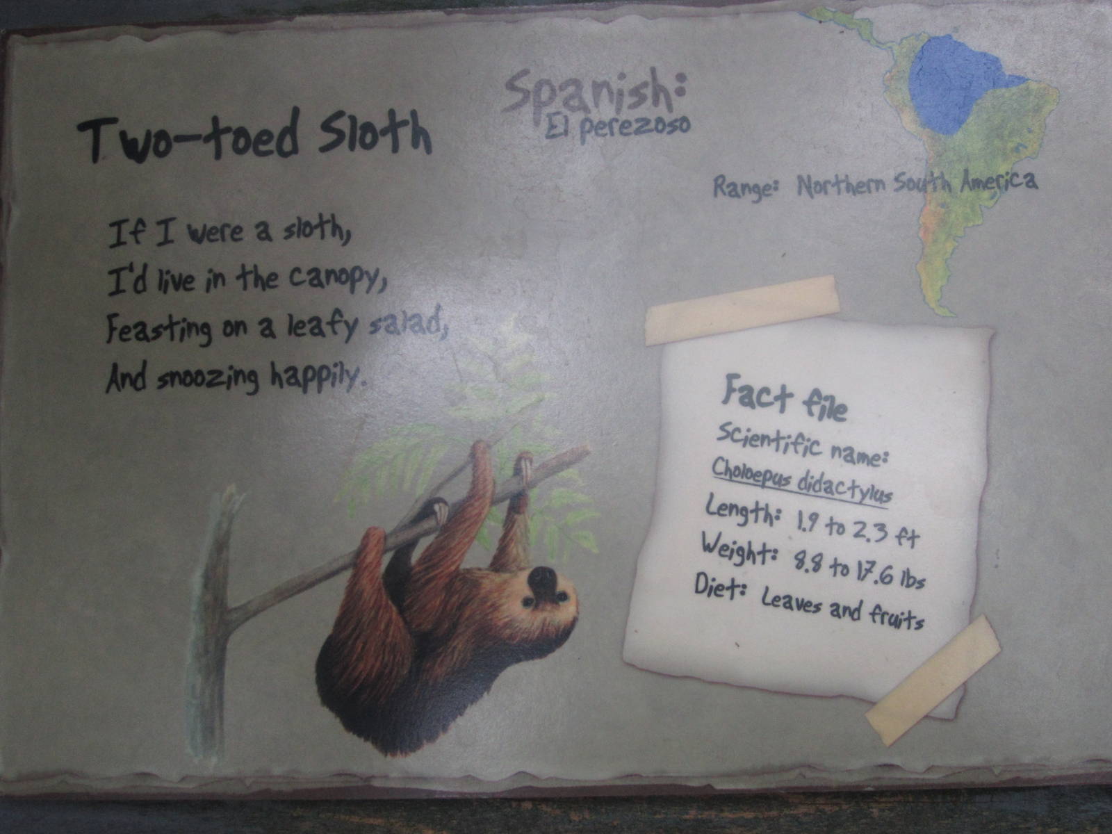 Feb. 2012-Sloth Sign at Discovery Forest