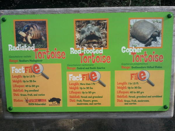 Feb. 2012-Tortoise Signs at the Children's Zoo