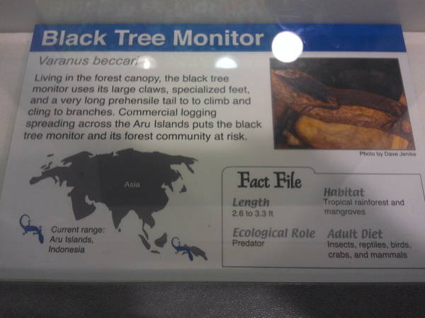 Feb. 2012-Tree Monitor Sign in World of the Insect