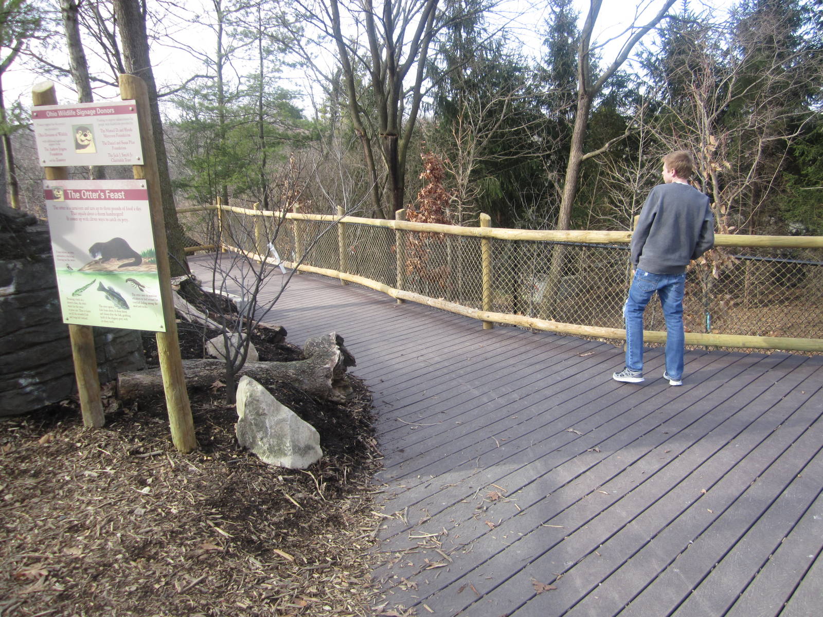 Feb. 2012-Wolf Woods Renovation