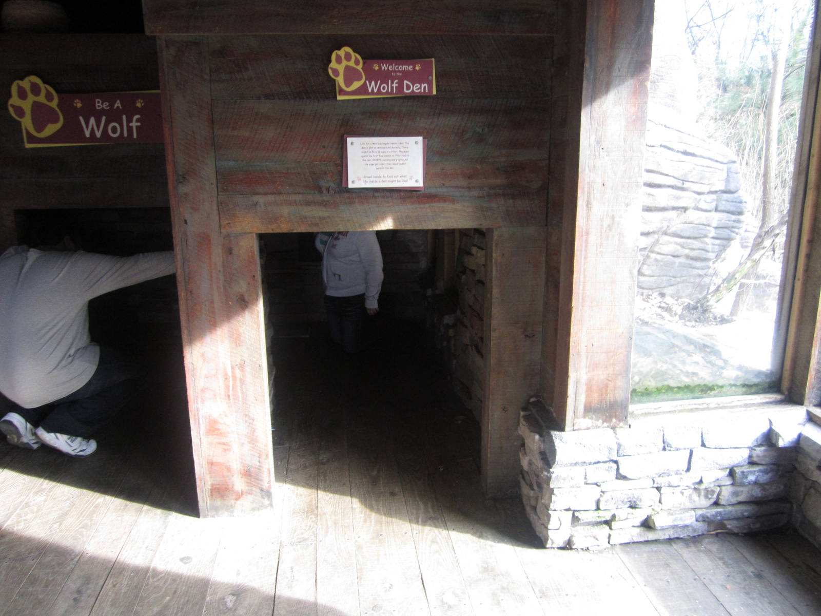 Feb. 2012-Wolf Woods-Wolf Den