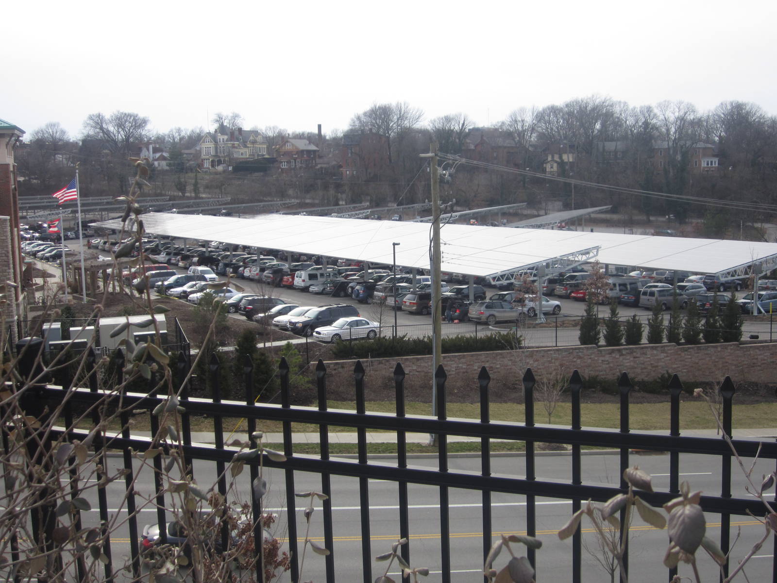 Feb. 2012-Zoo Parking Lot