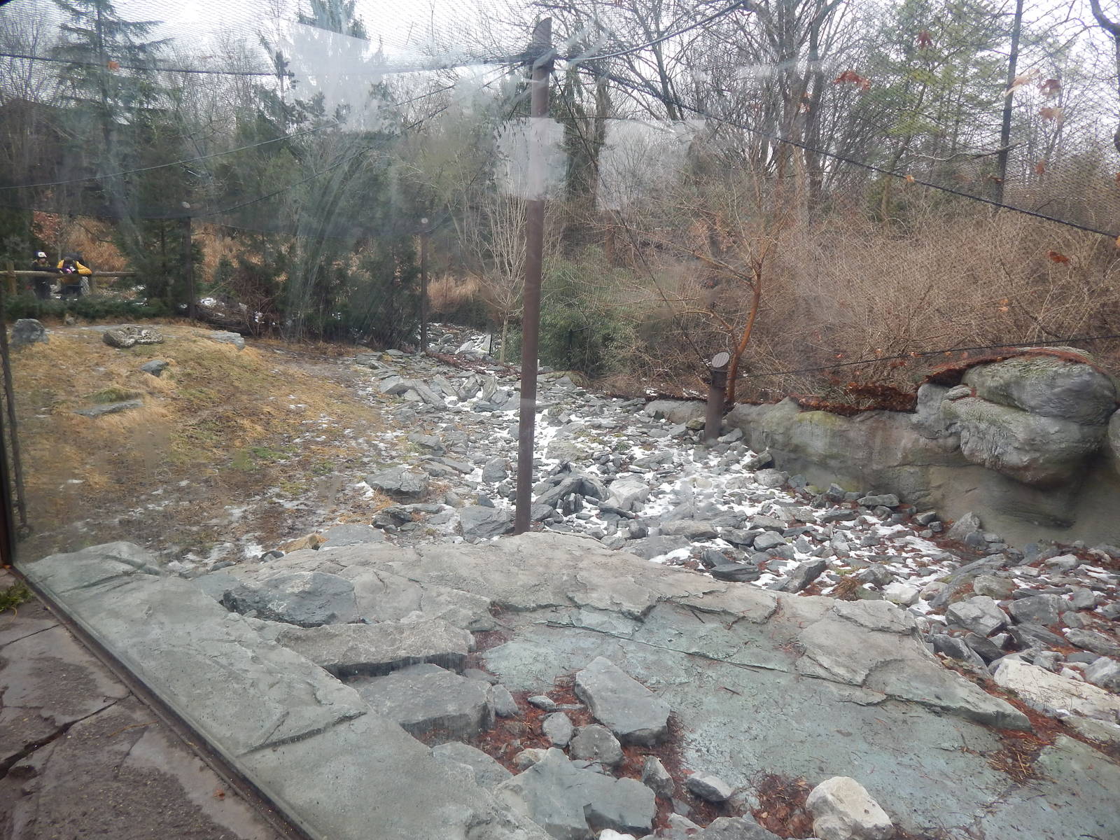 Feb. 2014 - Cat Canyon - Snow Leopard Exhibit (with some snow)