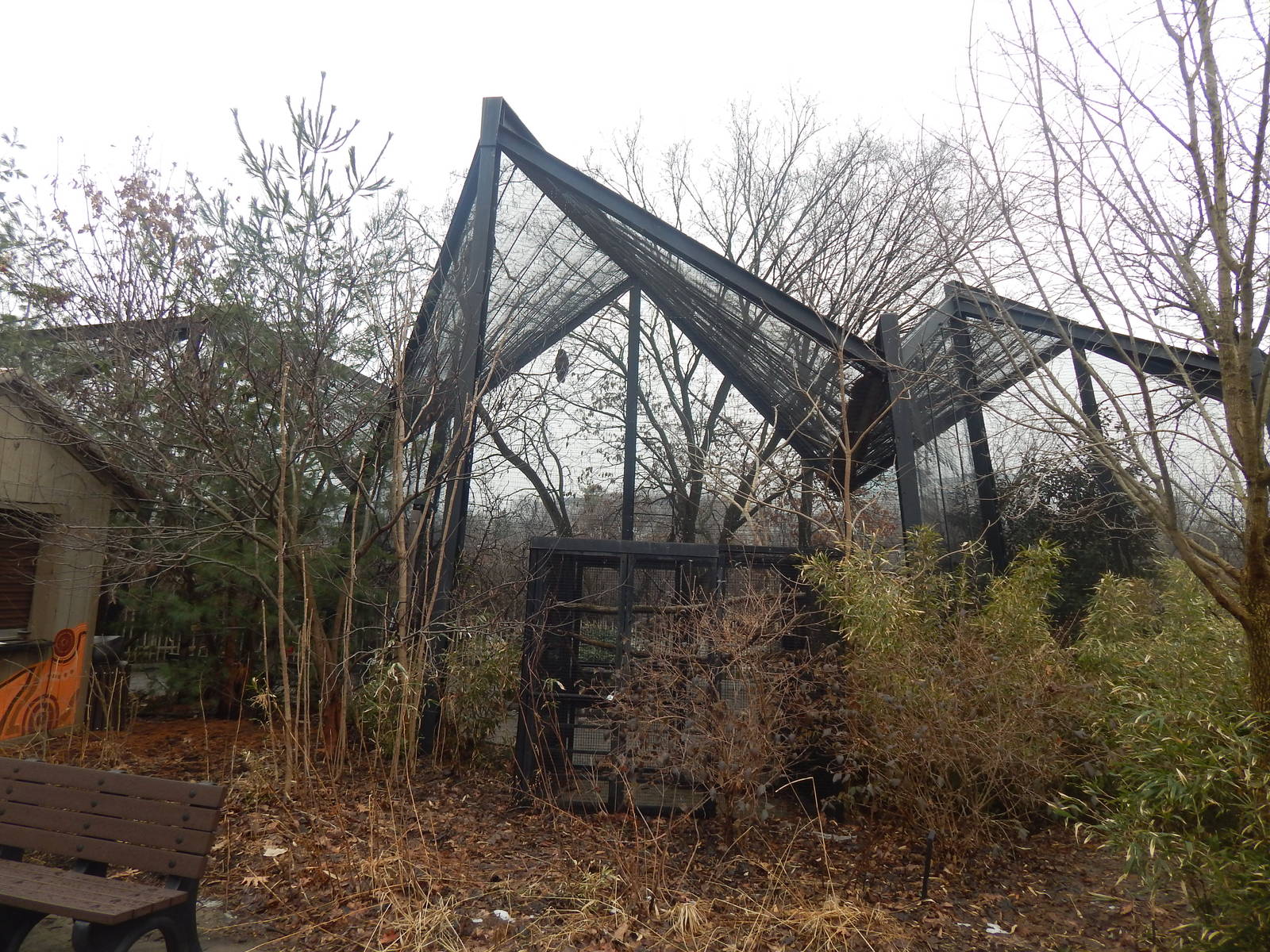 Feb. 2014 - Kea Encounter/Lorikeet Landing