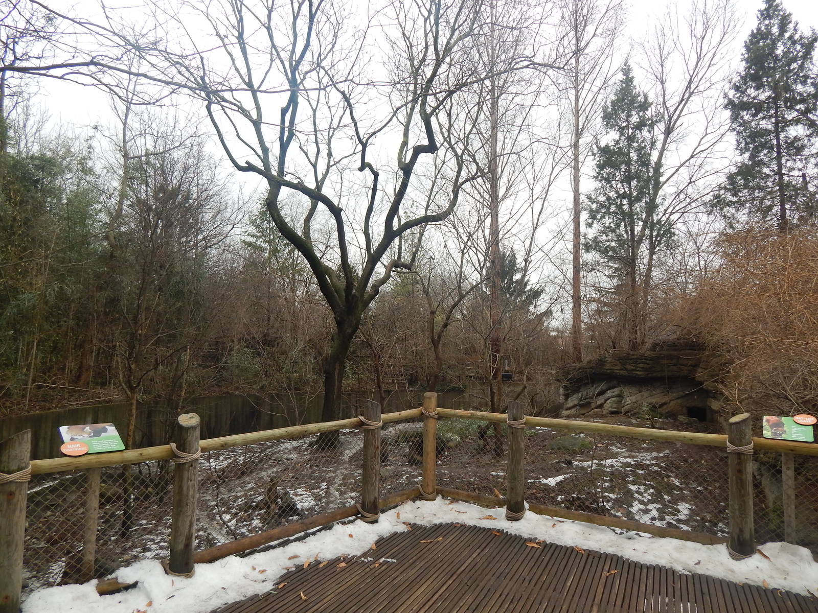 Feb. 2014 - Left Red Panda Exhibit