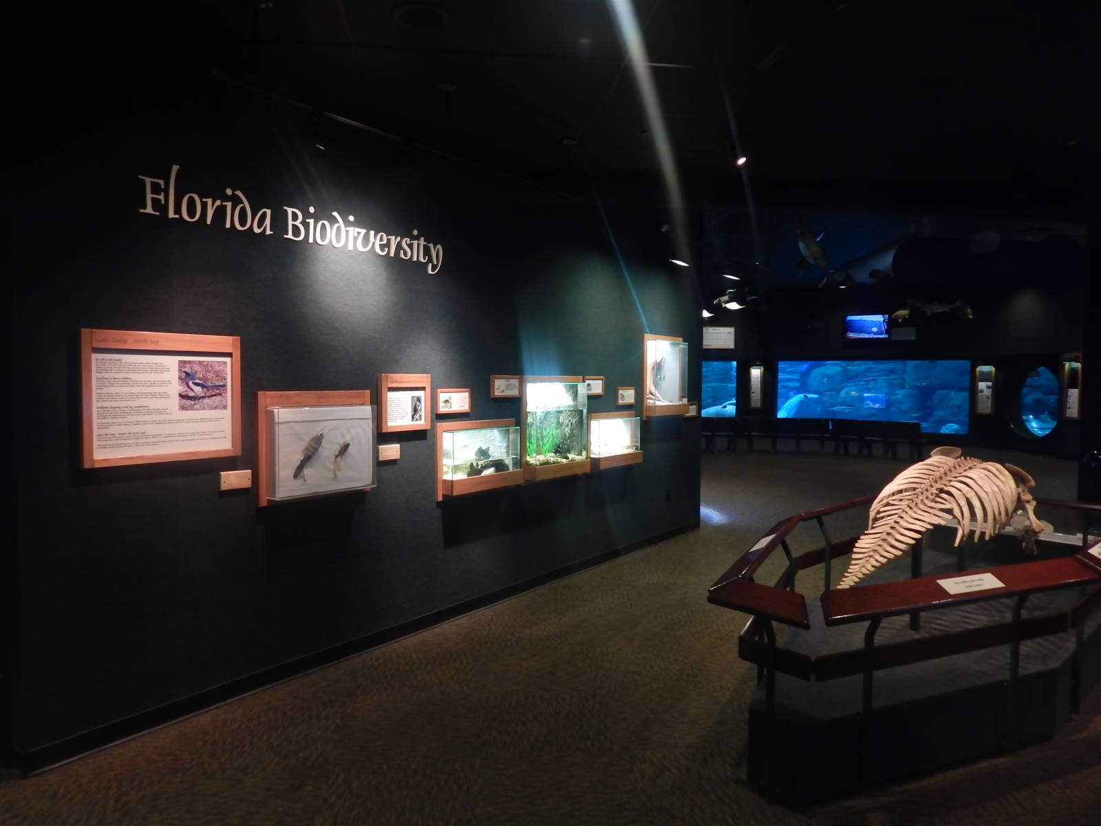 Feb. 2014 - Manatee Springs - Florida Biodiversity Area