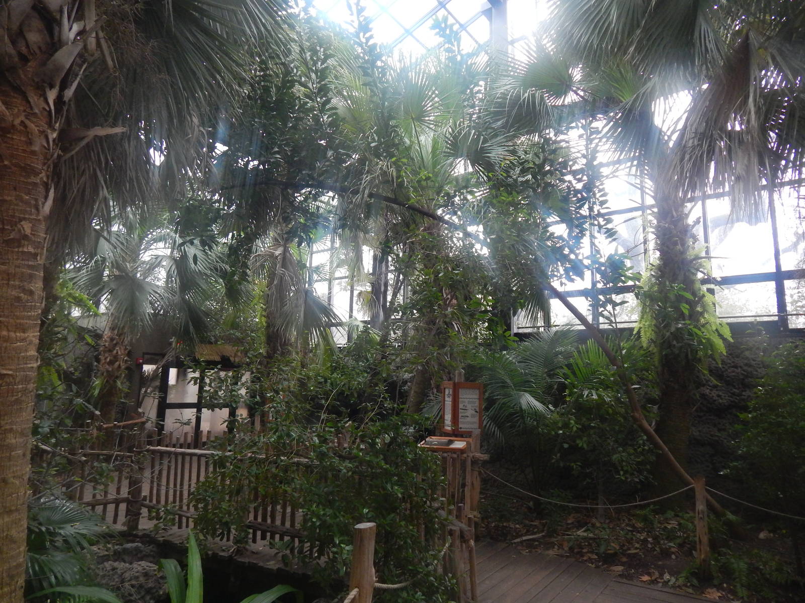 Feb. 2014 - Manatee Springs - Greenhouse