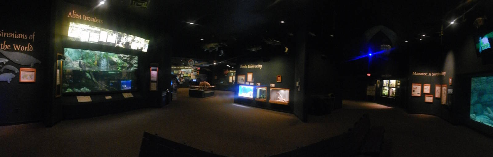 Feb. 2014 - Manatee Springs - Interior Panorama