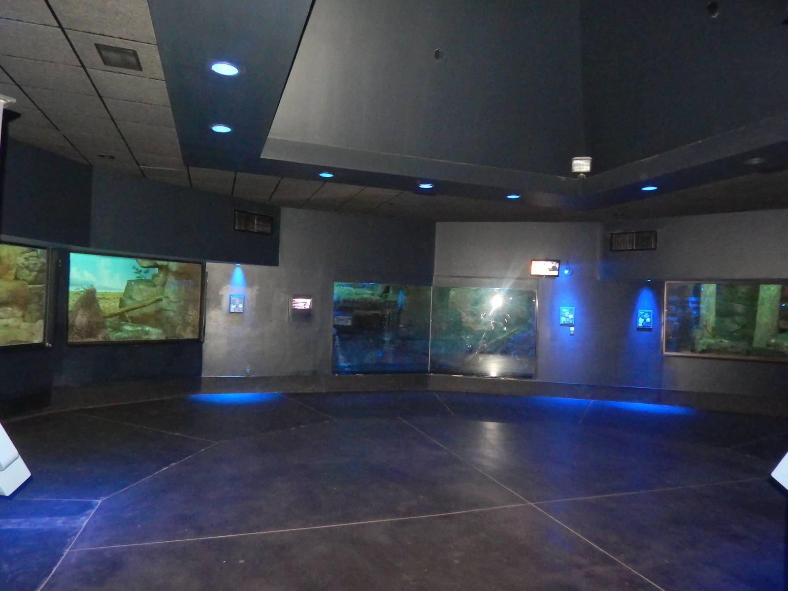 Feb. 2014 - Night Hunters - Rotunda