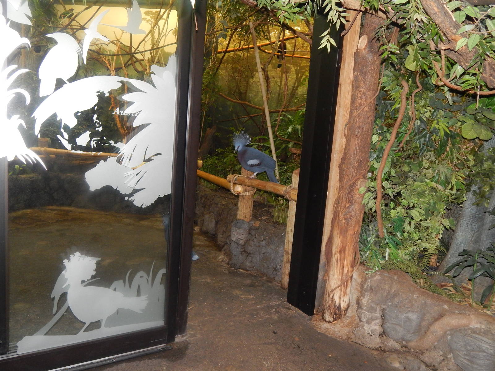 Feb. 2014 - Wings of the World- Freedom!