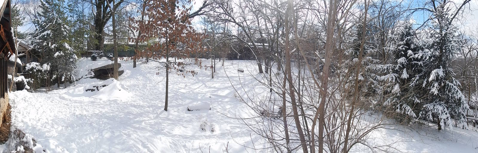 Feb. 2014 - Wolf Woods - Mexican Wolf Exhibit Panorama (Snow)