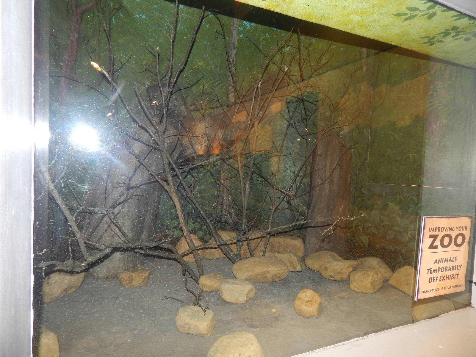 Feb. 2014 - World of the Insect - Future Guam Kingfisher Exhibit