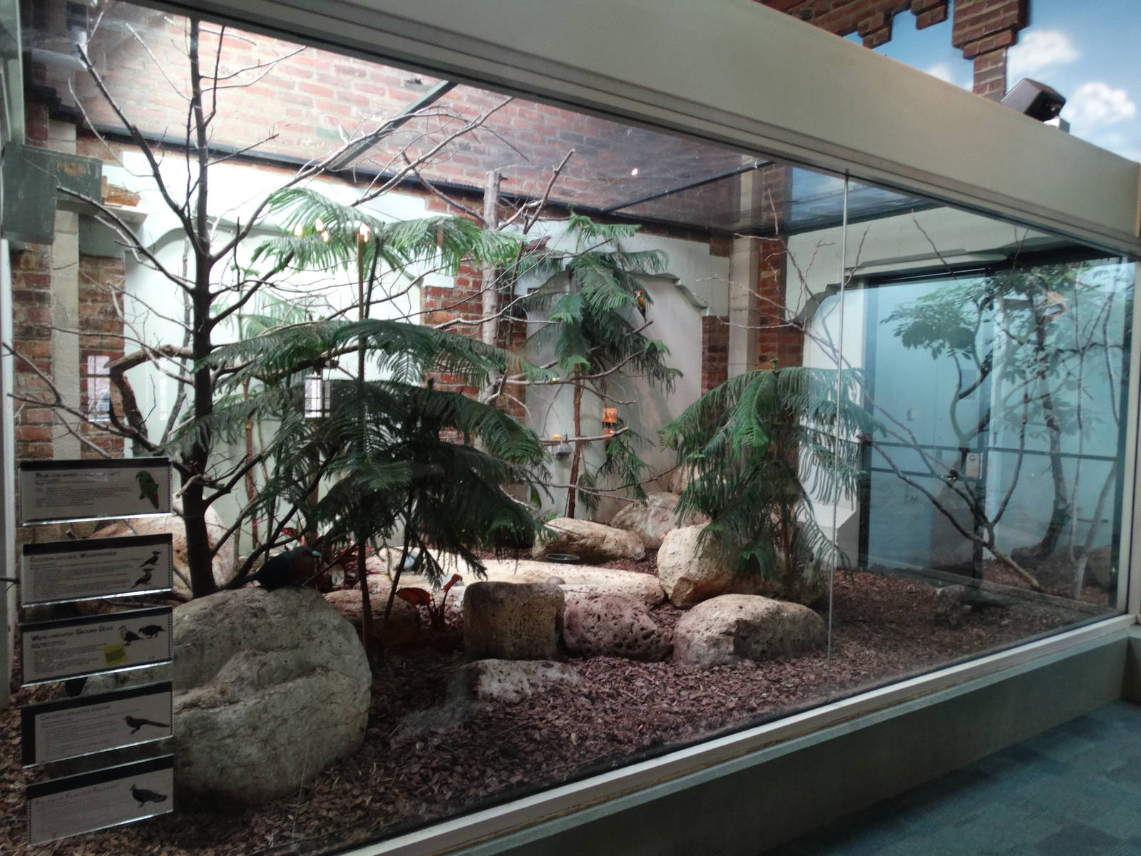 Feb. 2015 - Aviary - 5 Species Exhibit