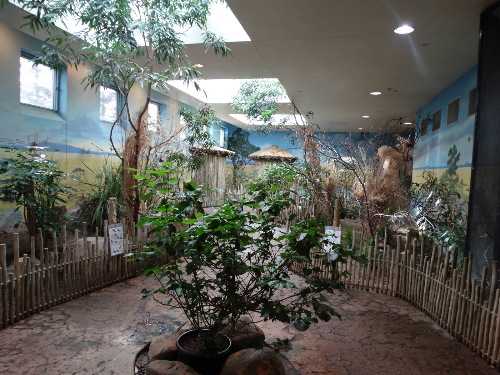 Feb. 2016 - Aviary - African Grasslands Walkthrough Exhibit (21 Species)