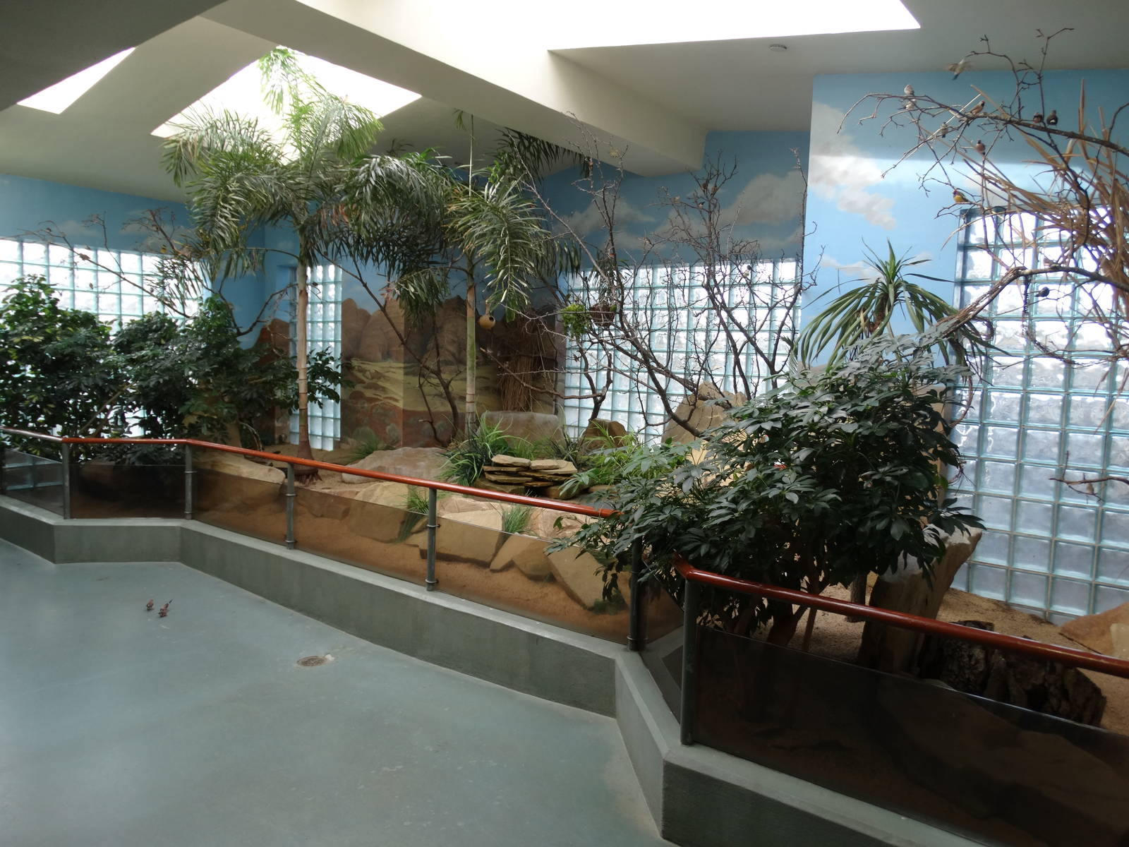 Feb. 2016 - Aviary - Australia Walkthrough Exhibit (10 Species)