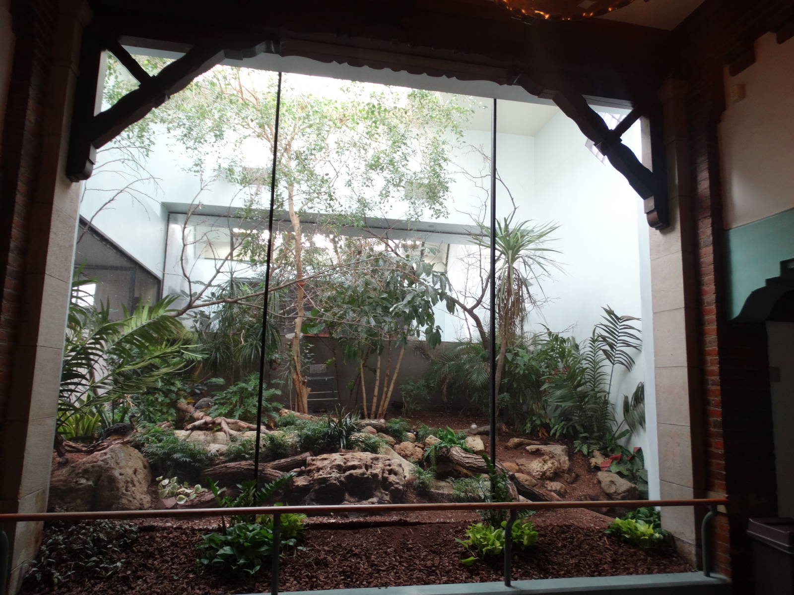 Feb. 2016 - Aviary - Central + South American Bird Exhibit (4 Species)