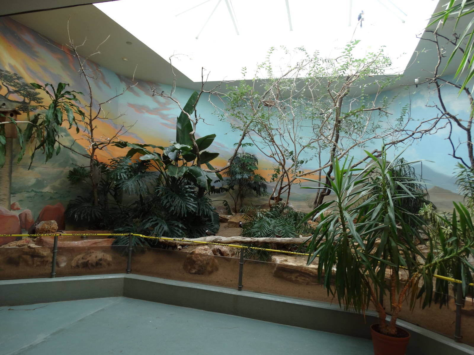 Feb. 2016 - Aviary - Madagascar Exhibit (9 Species)