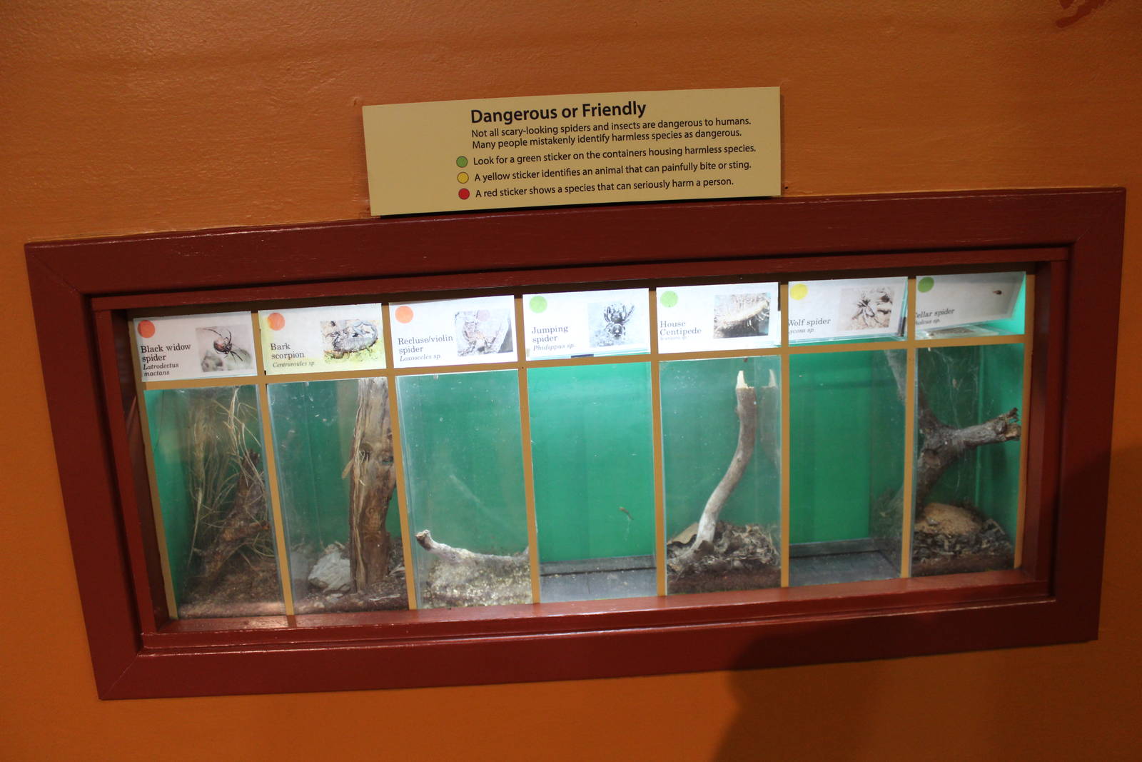 Feb. 2016 - Museum of Science - Crawl Space - 7 Exhibits