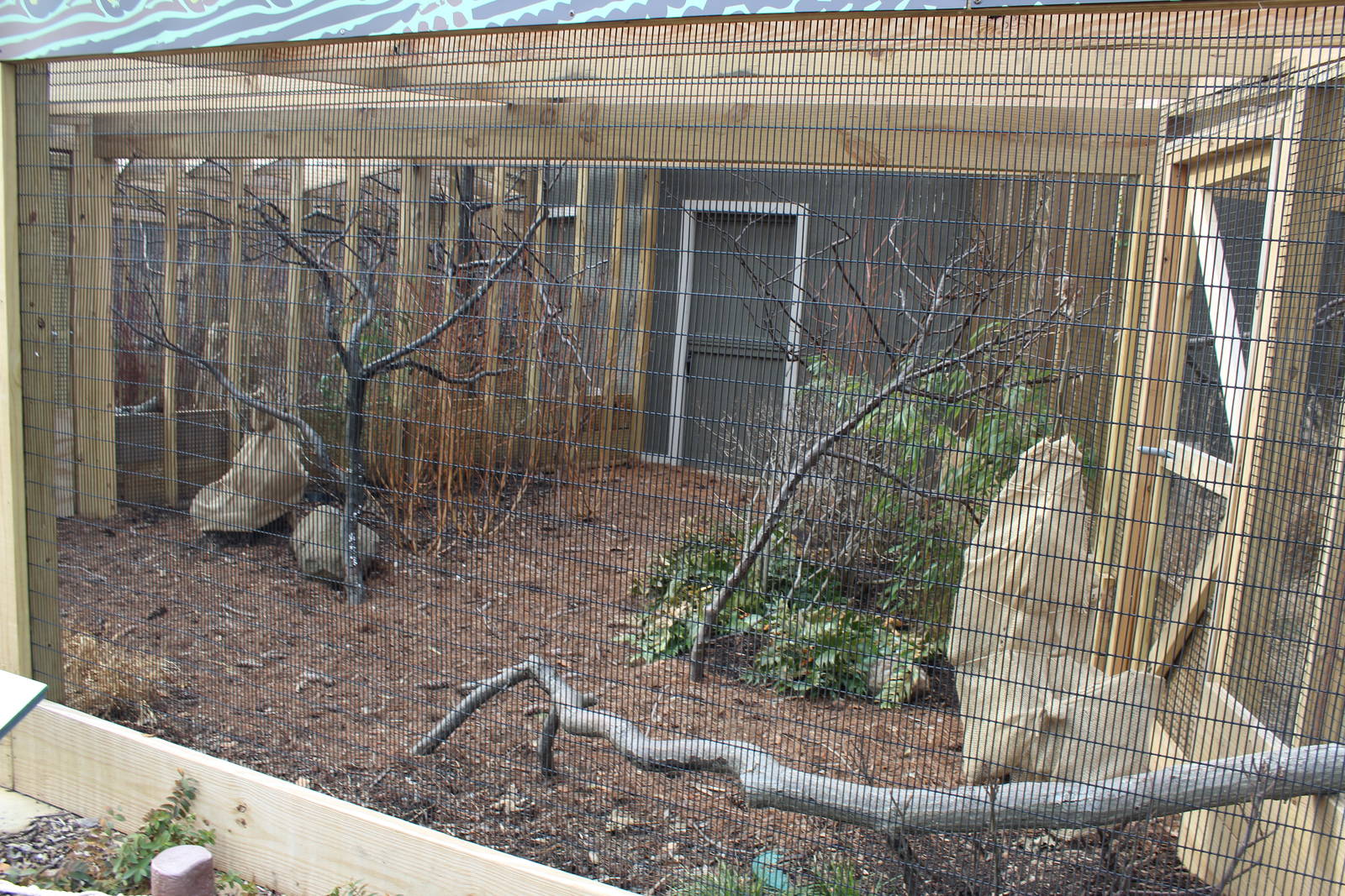 Feb. 2016 - Pheasantry - Satyr Tragopan Exhibit