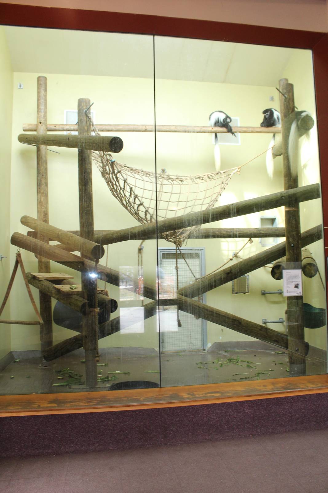 Feb. 2016 - Primate Forest - 1 of 2 Rotating Indoor Primate Exhibit (Colobu