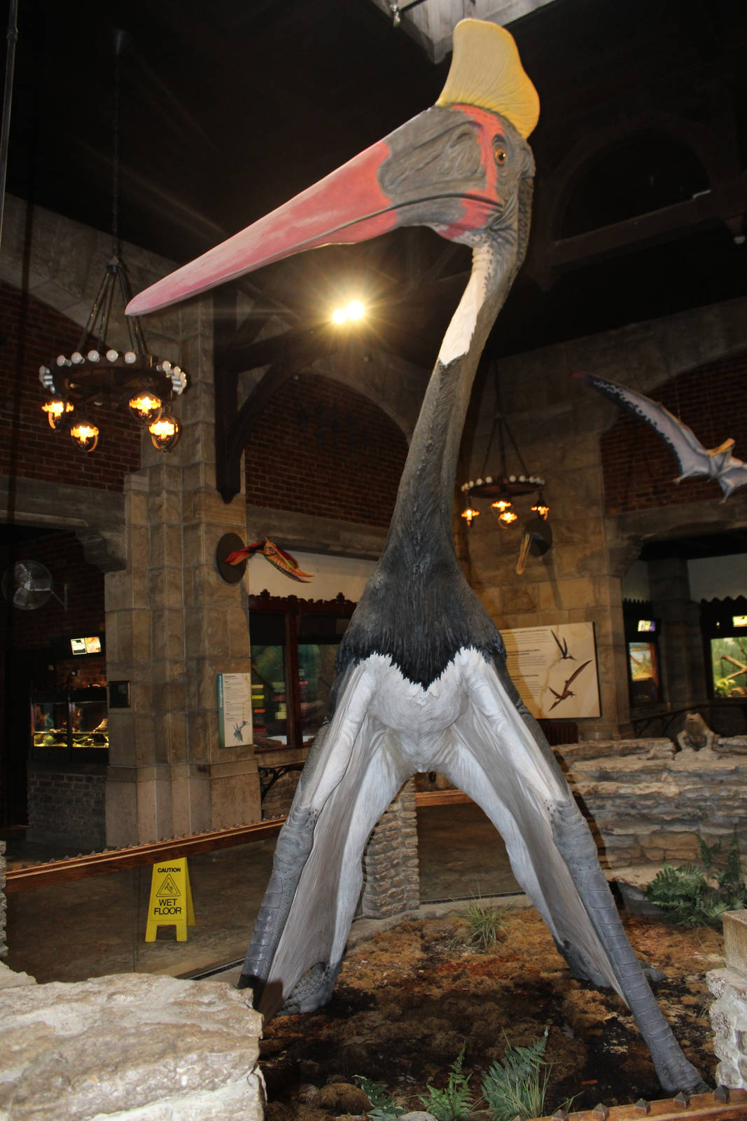 Feb. 2016 - Reptile House - Quetzalcoatlus