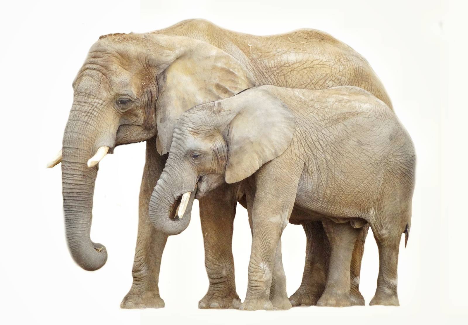 Feb. 2016 - Tembo Trail - Renee and Lucus