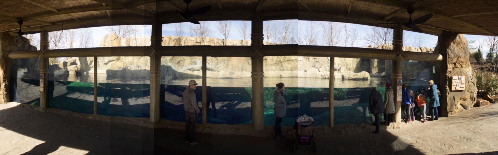 Feb. 2017 - Africa - Hippo Cove Underwater Viewing Pano