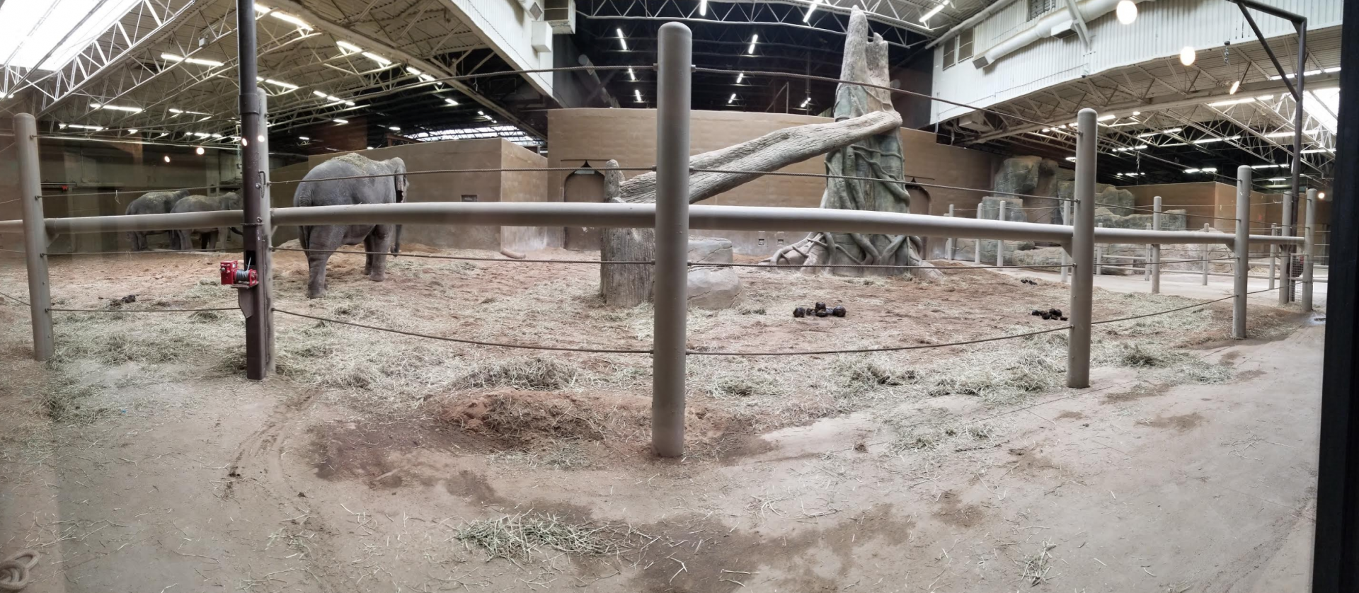 Feb. 2017 - Asia Quest - Indoor Elephant Exhibit Pano