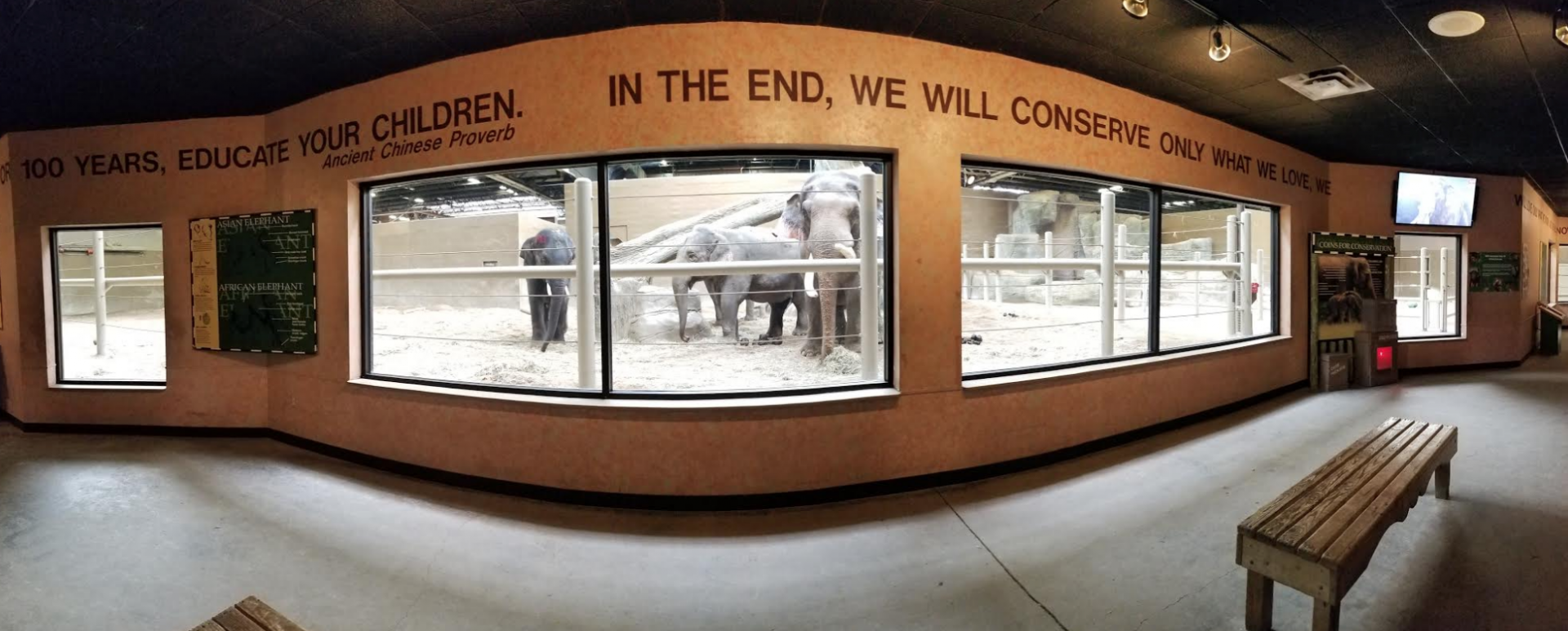 Feb. 2017 - Asia Quest - Indoor Elephant Exhibit Viewing Panorama