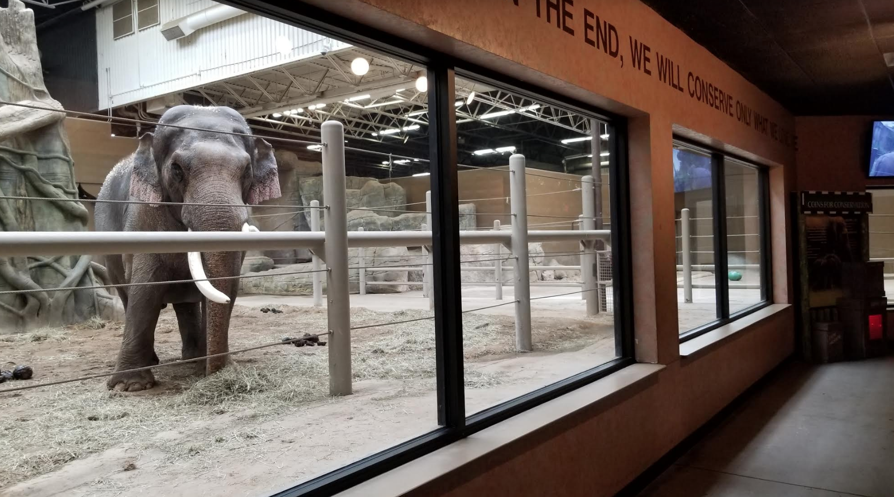 Feb. 2017 - Asia  Quest - Indoor Elephant Exhibit