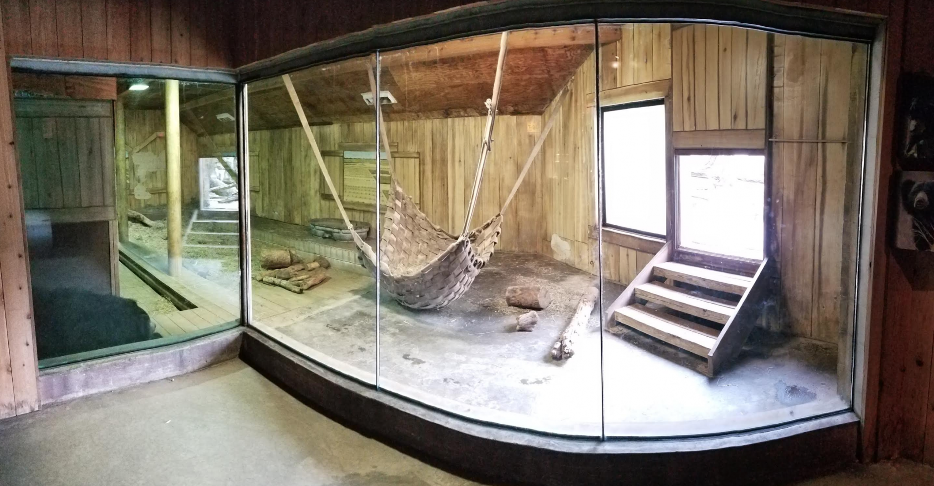 Feb. 2017 - Asia Quest - Indoor Sun/Sloth Bear Exhibit Pano