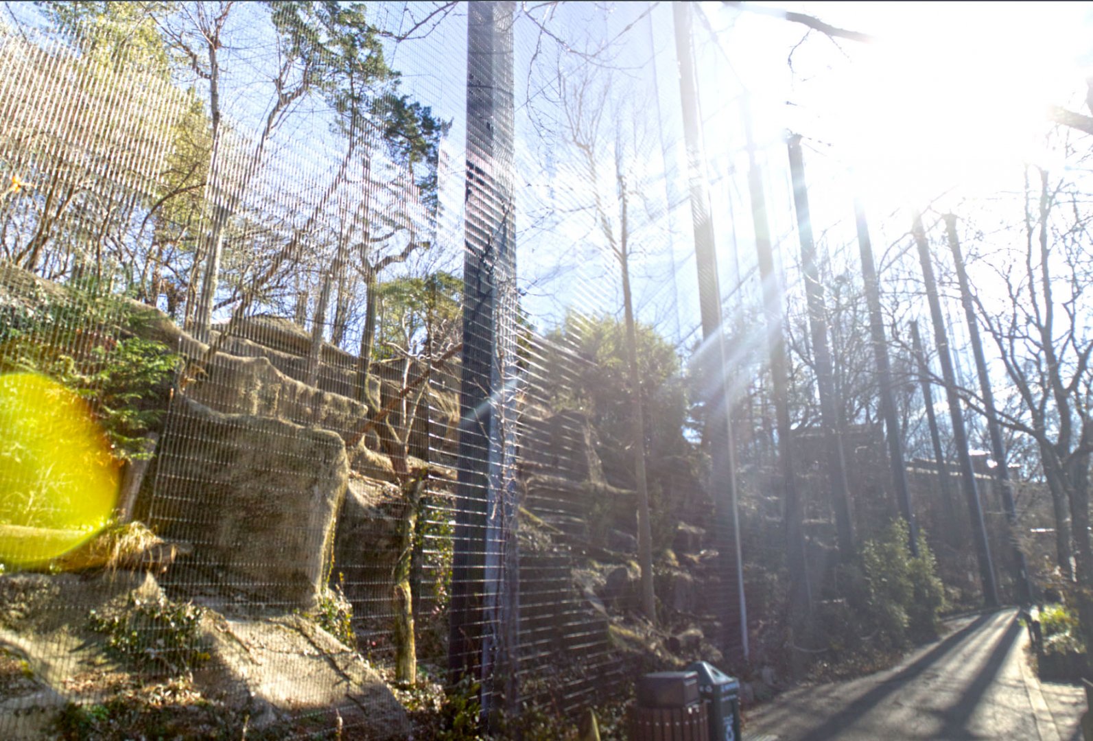 Feb. 2017 - Eagle Eyrie - Steller's Sea Eagle Aviary