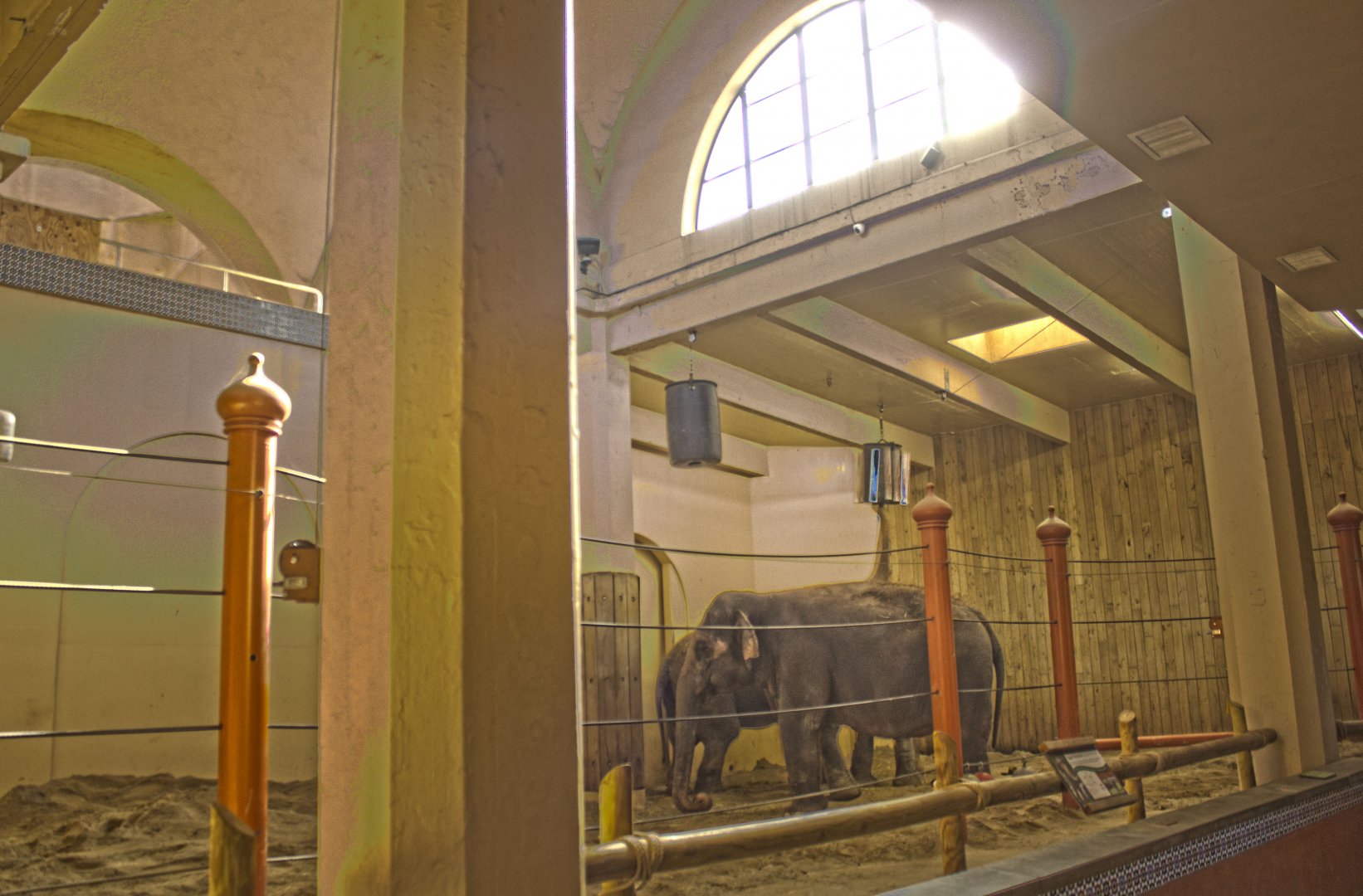 Feb. 2017 - Elephant House With New Sanded Floor (Manual HDR)